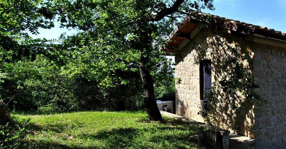 Terre Gialle - La Val D'Orcia Nascosta Castel del Piano  Exterior foto