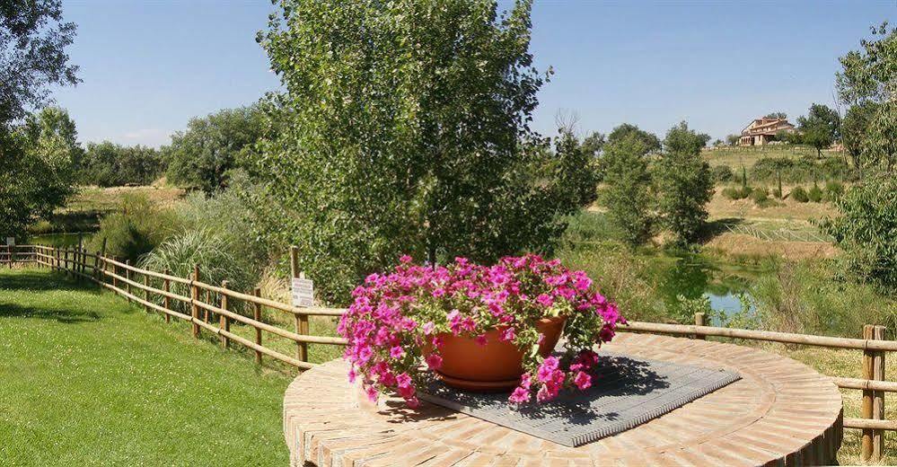 Terre Gialle - La Val D'Orcia Nascosta Castel del Piano  Exterior foto